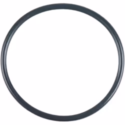 Joint torique 55 x 3 mm Poids 10 Diamètre en mm 55,0 Taille de l'emballage 1