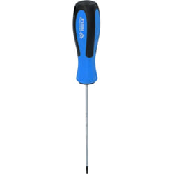 Tournevis TORX, T6 x 100 mm