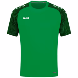 Maillot Jako Performance