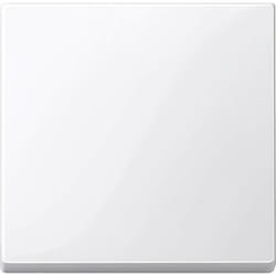 Interrupteur va-et-vient, Interrupteur, Interrupteur/inverseur Merten 432119-WH System m, 1-M, M-Smart, M-Plan, M-Creativ blanc polaire brillant