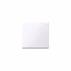 MERTEN 432125 ENJOLIVEUR POUR COMMANDES, ANTIMICROBIEN BRILLANT, SYSTEM M