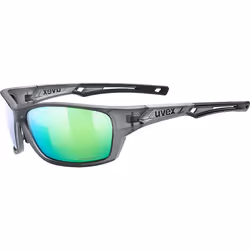 Uvex sportstyle 232 P, Lunettes Multi-sport, Unisexe, Cerclé, Gris, Gris