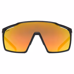 Uvex mtn perform lunettes de soleil