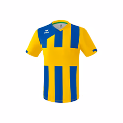 Maillot Erima Siena 3.0