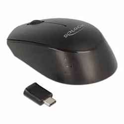 DeLOCK 12526, Ambidextre, Optique, RF sans fil, 1000 DPI, Noir