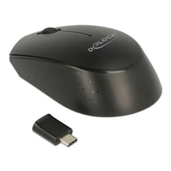 DeLOCK 12526 souris Ambidextre RF sans fil Optique 1000 DPI