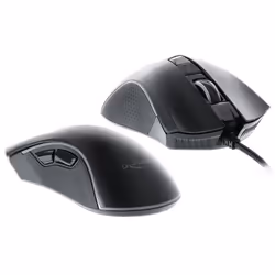 DeLOCK 12670 souris Droitier USB Type-A Optique 10000 DPI