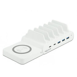 DeLOCK USB and Wireless Charger 2 x USB Type-C PD + 3 x USB Type-A with 110 W Autonome Blanc