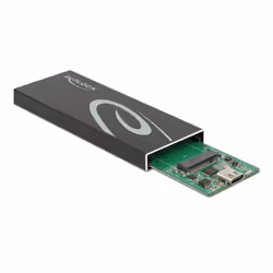 DeLOCK 42003 Boîtier de disques de stockage Enceinte ssd Noir M.2