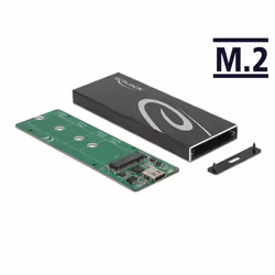 DeLOCK 42003 Boîtier de disques de stockage Enceinte ssd Noir M.2