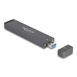 DeLOCK 42021 Boîtier de disques de stockage Enceinte ssd Gris M.2
