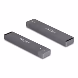 DeLOCK 42021 Boîtier de disques de stockage Enceinte ssd Gris M.2