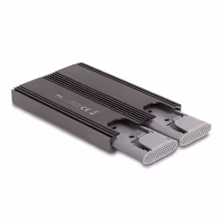 DeLOCK 42028 Boîtier de disques de stockage Enceinte ssd Noir, Gris M.2