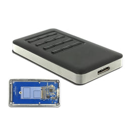 DeLOCK 42594 Boîtier de disques de stockage Enceinte ssd Noir, Argent M.2