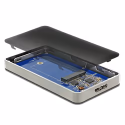 DeLOCK 42594 Boîtier de disques de stockage Enceinte ssd Noir, Argent M.2