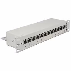 DeLOCK 43299, RJ-45, Gris, Montage de rack, 1U, 254 mm, 44 mm