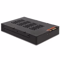 DeLOCK 47224 Boîtier de disques de stockage Noir 2.5"