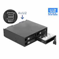 DeLOCK 47235 Obturateur de baie de lecteur 13,3 cm (5.25") Plateau de stockage de disques Noir