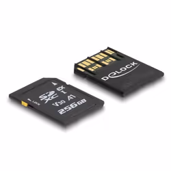 DeLOCK 54091 mémoire flash 256 Go SD UHS-I