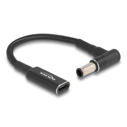 DeLOCK 60043 adaptateur de puissance & onduleur Intérieure Noir