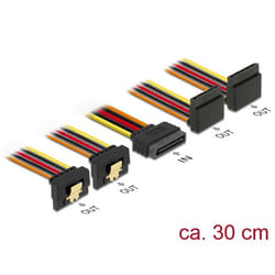 DeLOCK 60154 câble d'alimentation interne 0,3 m