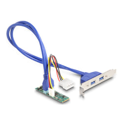 DeLOCK 61065 carte et adaptateur d'interfaces Interne USB 3.2 Gen 1 (3.1 Gen 1)