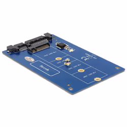 DeLOCK 62559, M.2, SATA, Bleu, 6 Gbit/s, 60 mm, 100 mm