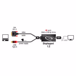 DeLOCK 0.3m, DVI 24+1 + USB-A/Displayport 20p 0,3 m DVI-D + USB HDMI Noir