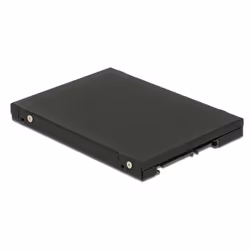 DeLOCK 62862 carte et adaptateur d'interfaces Interne CF, mSATA