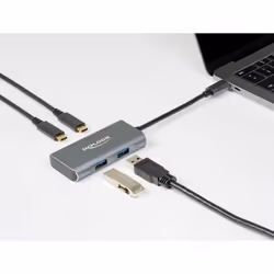 DeLOCK 63260 hub & concentrateur USB 3.2 Gen 2 (3.1 Gen 2) Type-C 10000 Mbit/s Gris