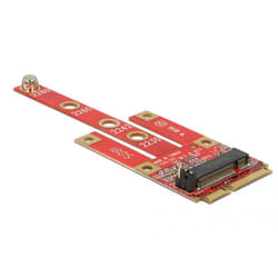 DeLOCK 63384 carte et adaptateur d'interfaces Interne M.2