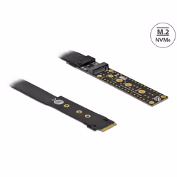 DeLOCK 64136 carte et adaptateur d'interfaces Interne M.2