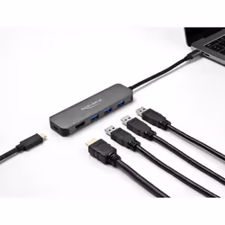 DeLOCK 64171 station d'accueil USB 3.2 Gen 1 (3.1 Gen 1) Type-C Gris
