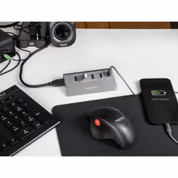 DeLOCK 64182 hub & concentrateur USB 3.2 Gen 2 (3.1 Gen 2) Type-A 10 Mbit/s Gris - Vue supplémentaire 4
