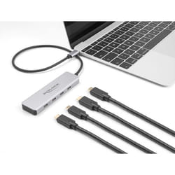 DeLOCK 64231 hub & concentrateur USB Type-C 10000 Mbit/s Gris