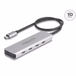 DeLOCK 64231 hub & concentrateur USB Type-C 10000 Mbit/s Gris