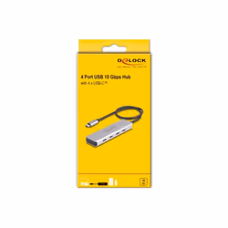 DeLOCK 64231 hub & concentrateur USB Type-C 10000 Mbit/s Gris