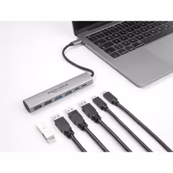 DeLOCK 64232 station d'accueil Avec fil USB 3.2 Gen 1 (3.1 Gen 1) Type-A + Type-C Gris