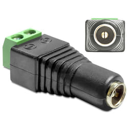 DeLOCK 65421 changeur de genre de câble DC 2.1 x 5.5 mm 2p Noir, Vert, Argent