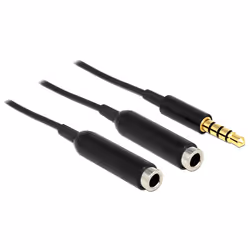 DeLOCK 65575, 3,5mm, Mâle, 2 x 3.5mm, Femelle, 0,25 m, Noir