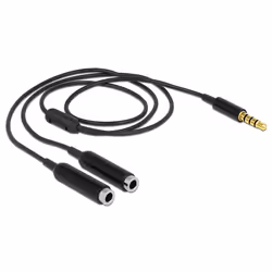 DeLOCK 65575 câble audio 0,25 m 3,5mm 2 x 3.5mm Noir