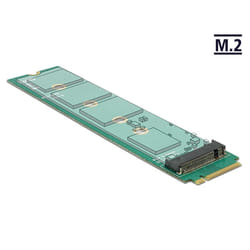 DeLOCK 65699 carte et adaptateur d'interfaces Interne M.2