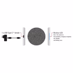 DeLOCK 65919 chargeur d'appareils mobiles Universel Noir, Gris USB Recharge sans fil Charge rapide Intérieure