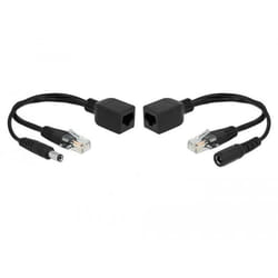 DeLOCK 66024 adaptateur et injecteur PoE Fast Ethernet