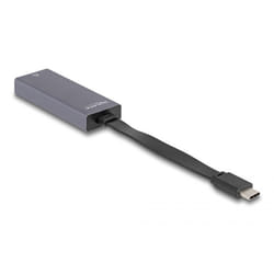 DeLOCK 66248 changeur de genre de câble RJ-45 USB C Gris