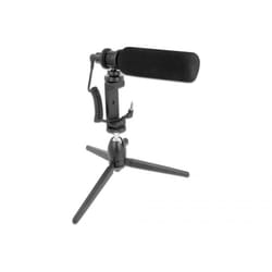 DeLOCK 66582 microphone Noir Microphone de smartphone