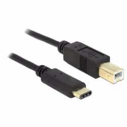 DeLOCK 2m, USB2.0-C/USB2.0-B, 2 m, USB B, USB C, USB 2.0, Mâle/Mâle, Noir