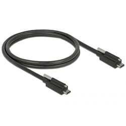 DeLOCK 83719 câble USB 1 m USB 3.2 Gen 2 (3.1 Gen 2) USB C Noir