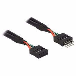 DeLOCK 0.1m 2xUSB2.0 10p, 0,1 m, USB 2.0, Mâle, Femelle, Droit, Droit