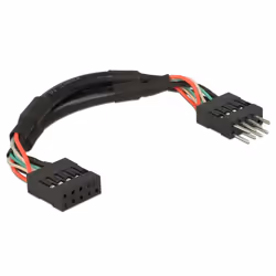 DeLOCK 0.1m 2xUSB2.0 10p